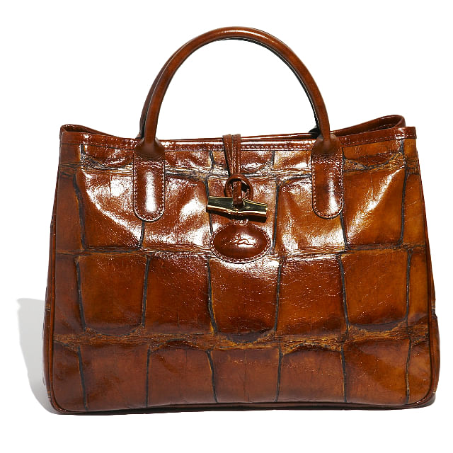 Longchamp Tortoise Roseau handbag 2